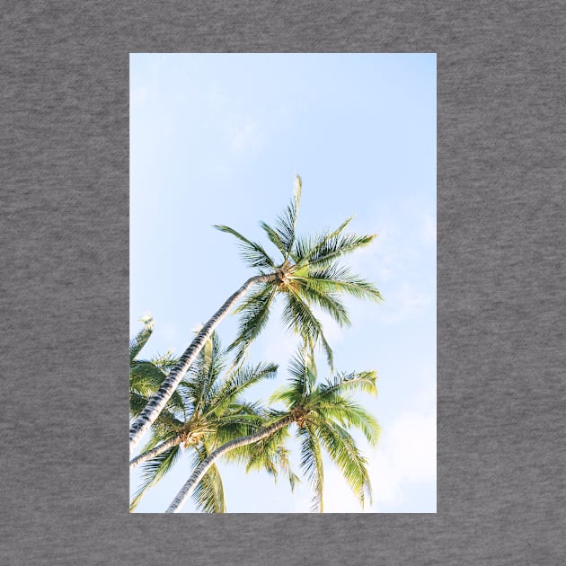 Tropical Palm Trees by NewburyBoutique